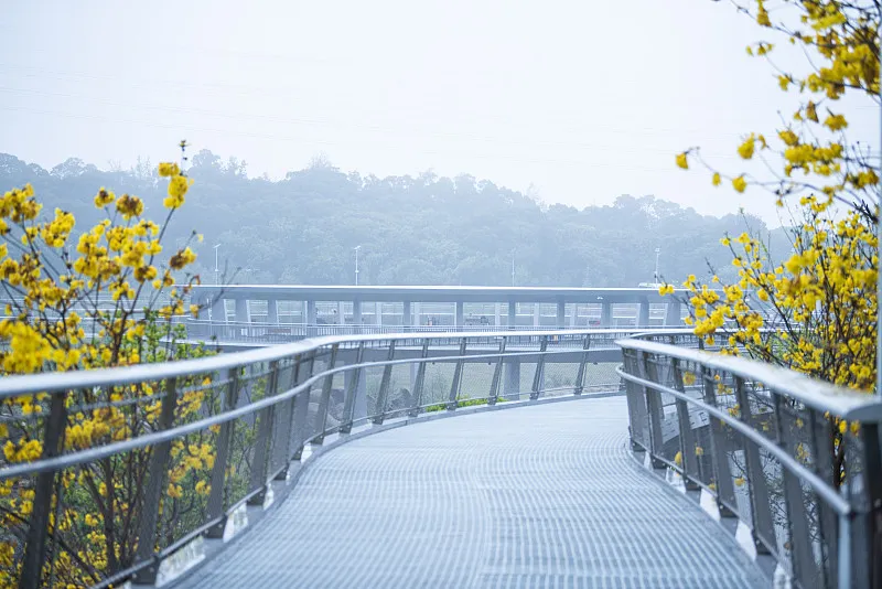 full view of pedestrian walkway