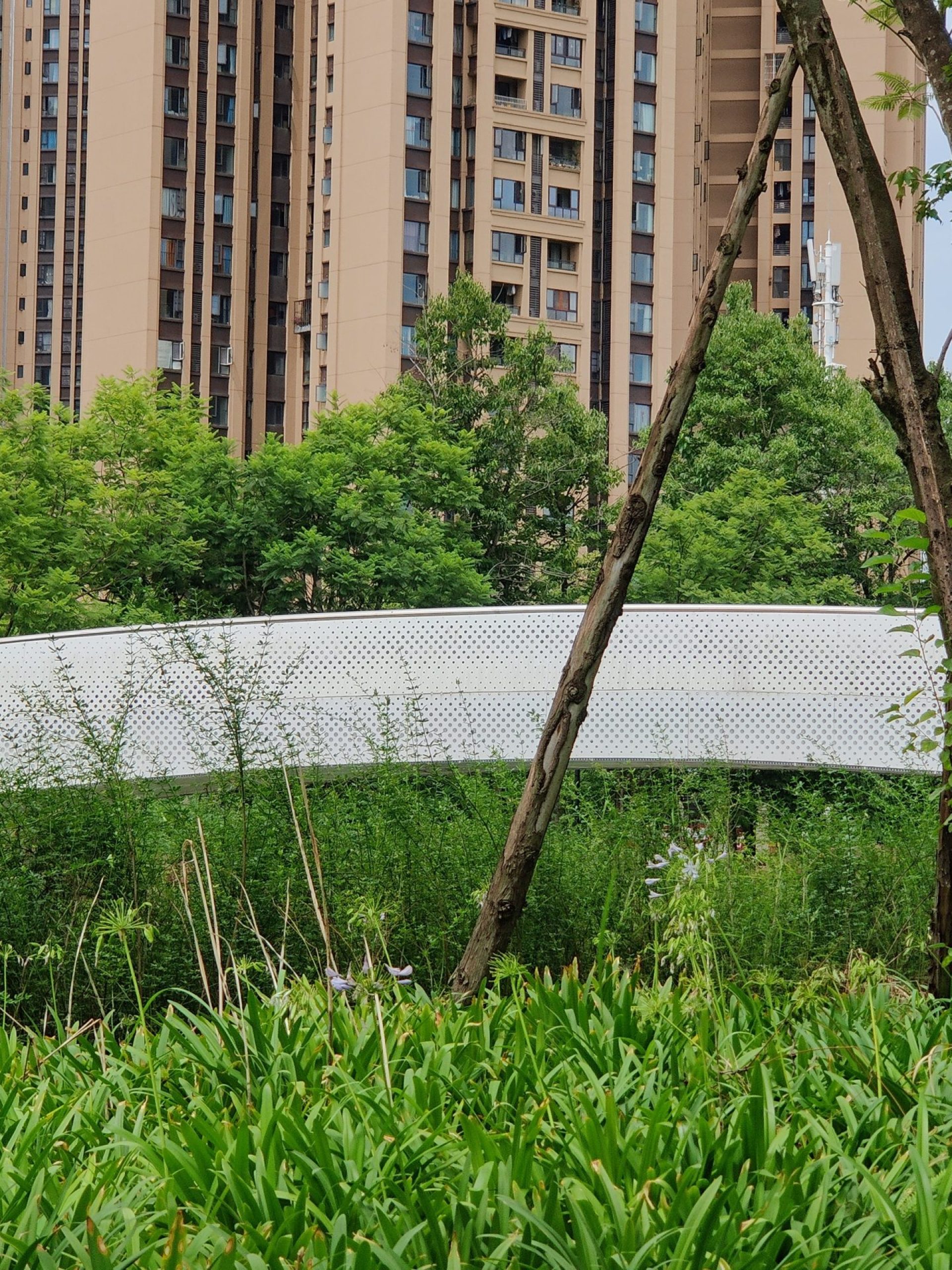 Bridge made of perforated panels